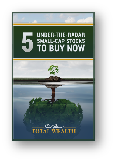 5 Under-the-Radar Stocks